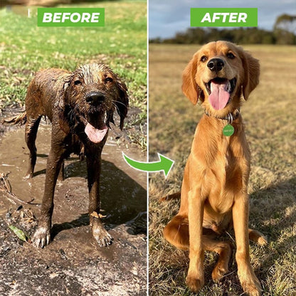 Pup Jet Pet Shower Helper