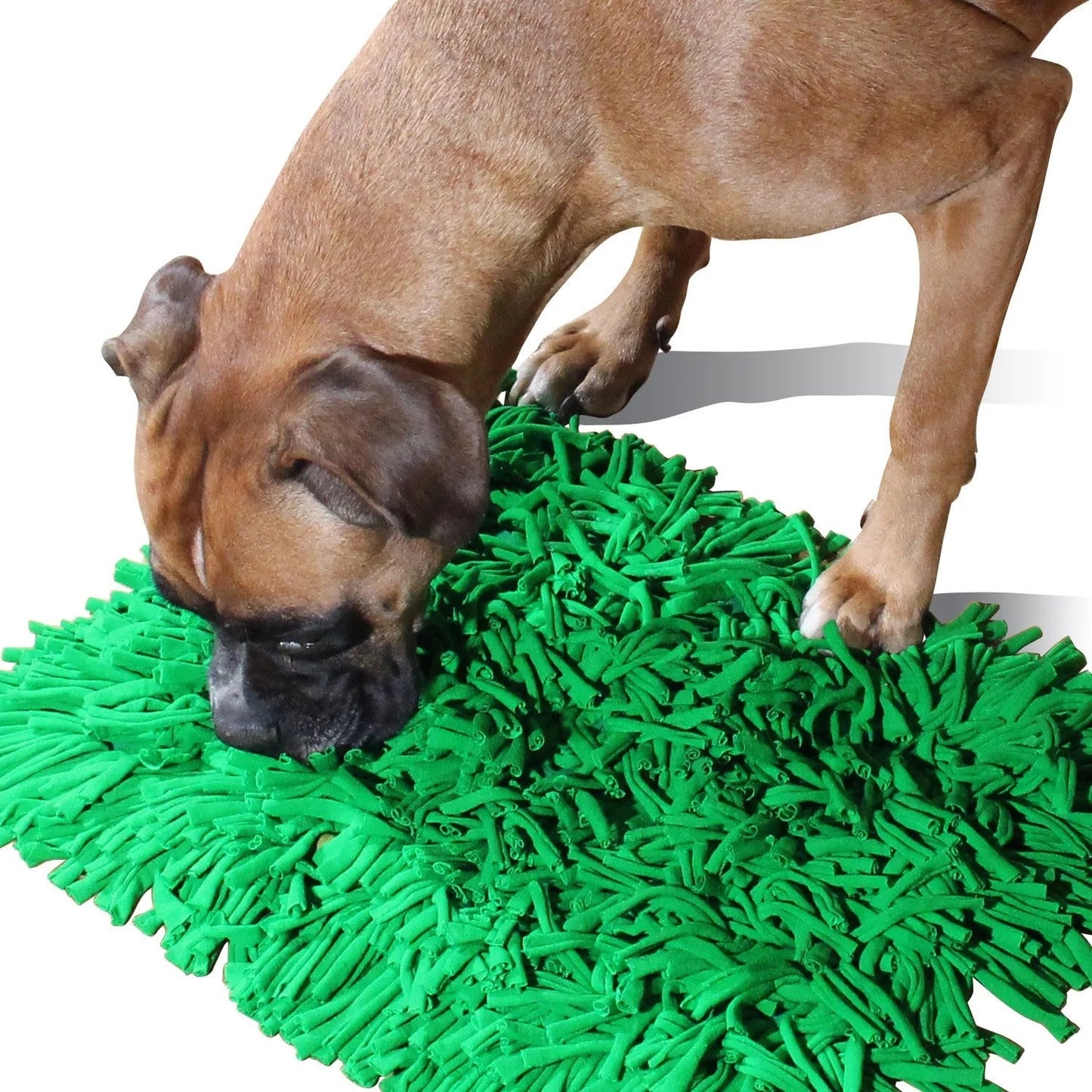 Pets Sniffing Mat