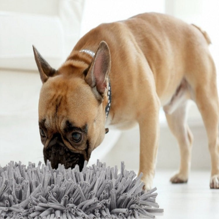 Pets Sniffing Mat