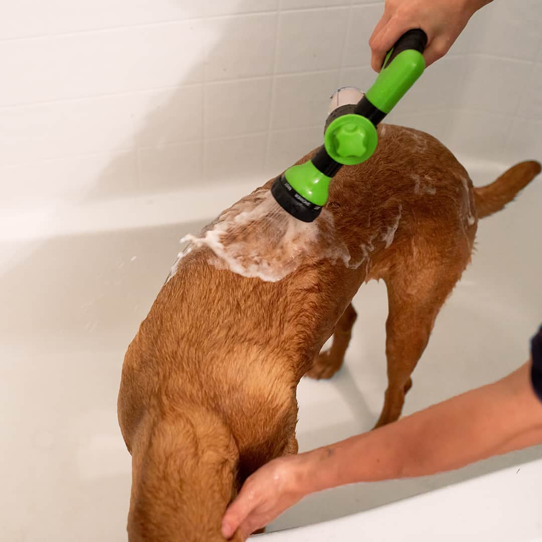 Pup Jet Pet Shower Helper