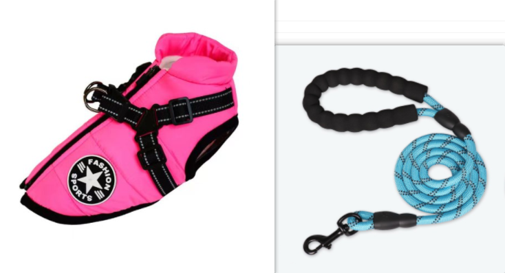 Waterproof Jacket with Dog Harness