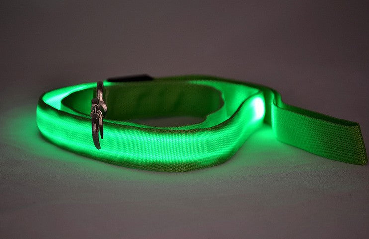 LED Luminous Traction Dog Leash