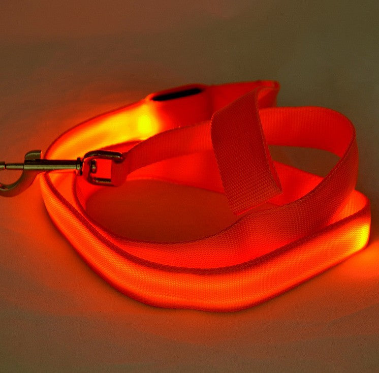 LED Luminous Traction Dog Leash