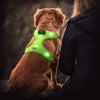 LED Dog Harness, Lighted up USB Rechargeable Pet Harness, Illuminated Reflective Glowing Dog Vest Adjustable Soft Padded No-Pull Suit for Small Medium Large Dogs (Green, S)
