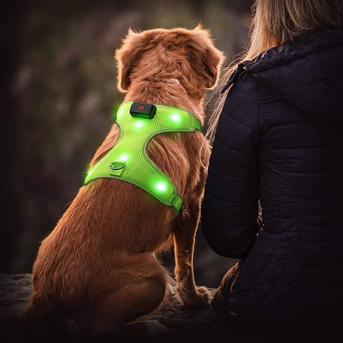 LED Dog Harness, Lighted up USB Rechargeable Pet Harness, Illuminated Reflective Glowing Dog Vest Adjustable Soft Padded No-Pull Suit for Small Medium Large Dogs (Green, S)