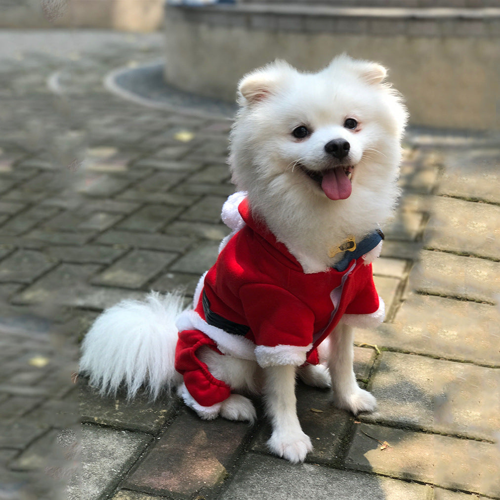 Christmas Santa Pet Sweater