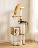 Woodywonders 65-Inch Modern Cat Tree, Multi-Level Condo with 5 Scratching Posts, & perch 