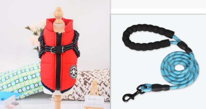 Waterproof Jacket with Dog Harness