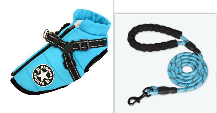 Waterproof Jacket with Dog Harness