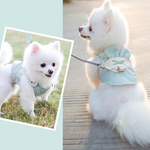 Stylish Dog Harness Leash Set