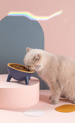 Pet  Feeding Bowl With Stand