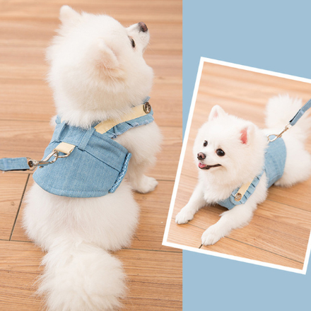 Stylish Dog Harness Leash Set