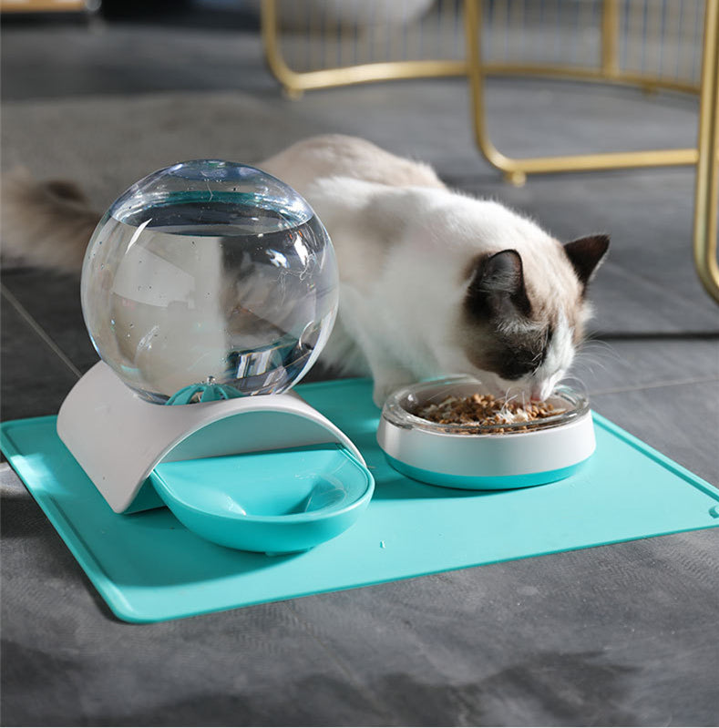 Pet Feeding Bowl and Water Dispenser