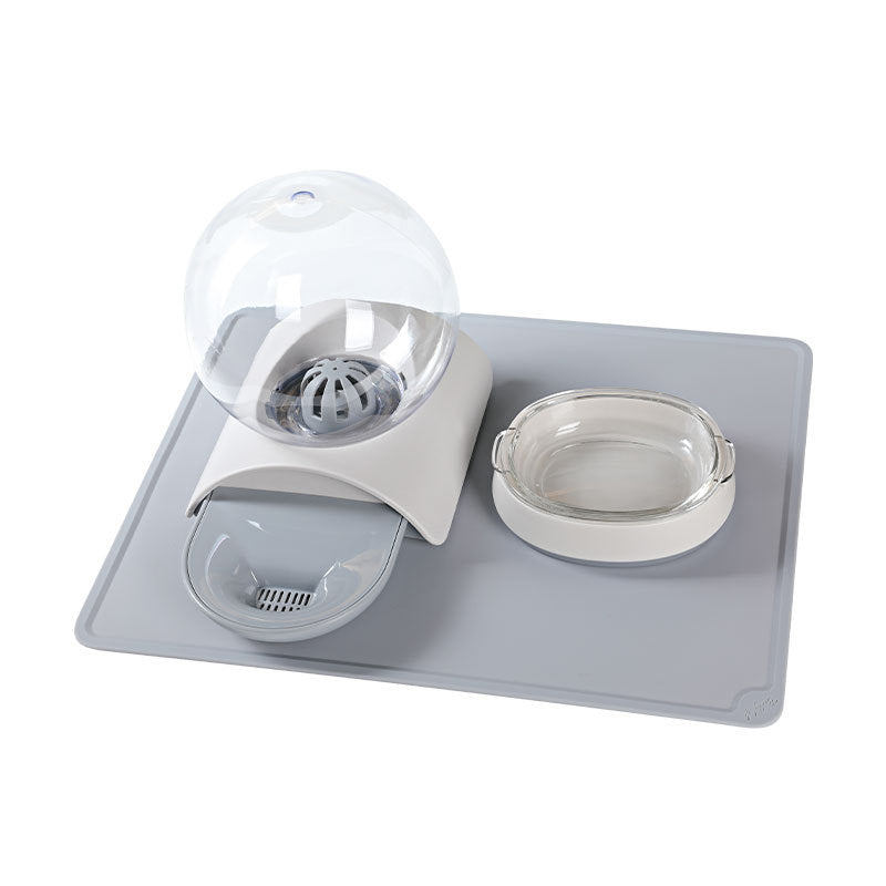 Pet Feeding Bowl and Water Dispenser