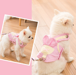 Stylish Dog Harness Leash Set