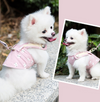 Stylish Dog Harness Leash Set