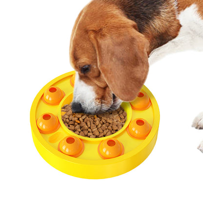 Slow Feeding Training Bowl