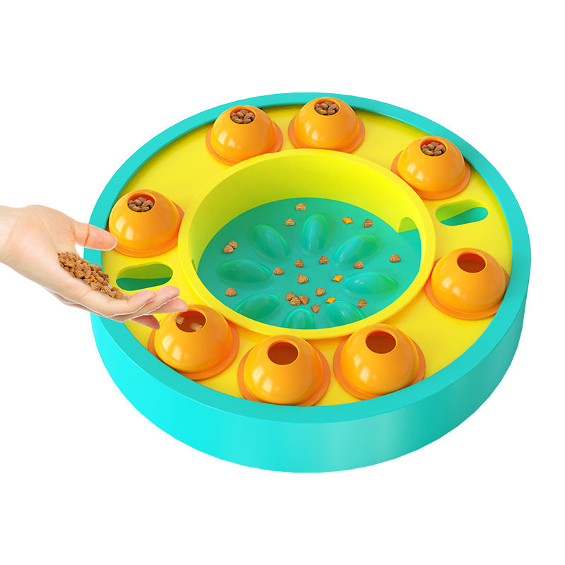 Slow Feeding Training Bowl