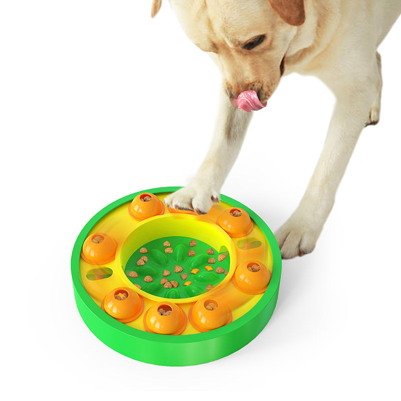 Slow Feeding Training Bowl