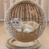 Hammock Cat Bed