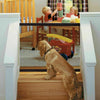 Magic Mesh Pet Security Gate