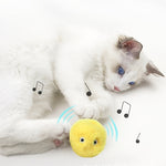 Cat Fluffy Interactive Ball | Squeaky Torch Sound Toy Pack of 3