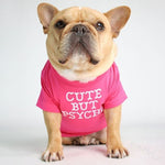Round Collar T-shirt Teddy Pet Clothing