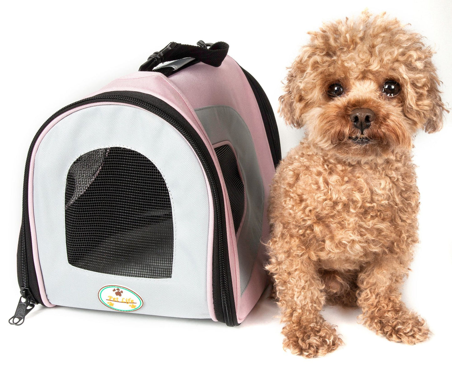 Airline Approved Folding Zippered Sporty Mesh Pet Carrier