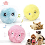 Cat Fluffy Interactive Ball | Squeaky Torch Sound Toy Pack of 3