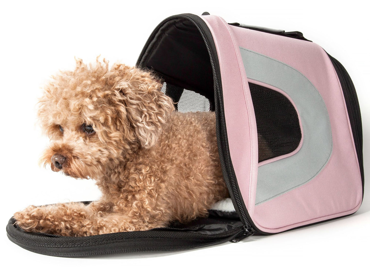 Airline Approved Folding Zippered Sporty Mesh Pet Carrier