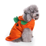 Halloween Pet Costume Witch, Pumpkin, Bat, Unicorn and Spider