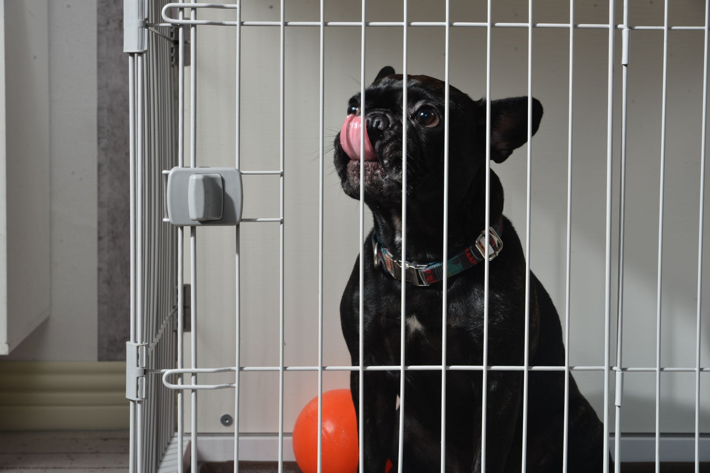 Elegant Wooden White Dog Cage