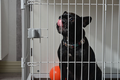 Elegant Wooden White Dog Cage