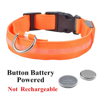 LED Glowing Rechargeable Luminous Dog Collar