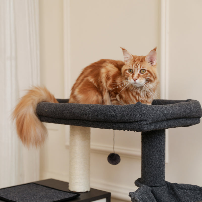 Cat Condo All-in-One Multi-Functional Cat Tower