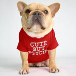 Round Collar T-shirt Teddy Pet Clothing