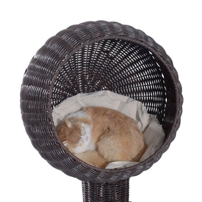 Modern Cat Bed Fancy Design Espresso Color Wicker Lounge