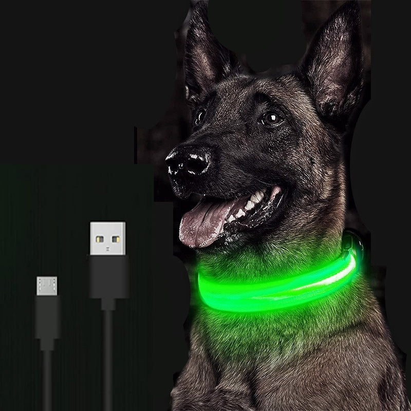 LED Glowing Rechargeable Luminous Dog Collar
