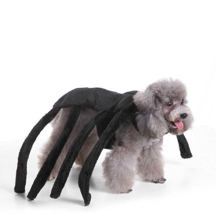 Halloween Pet Costume Witch, Pumpkin, Bat, Unicorn and Spider