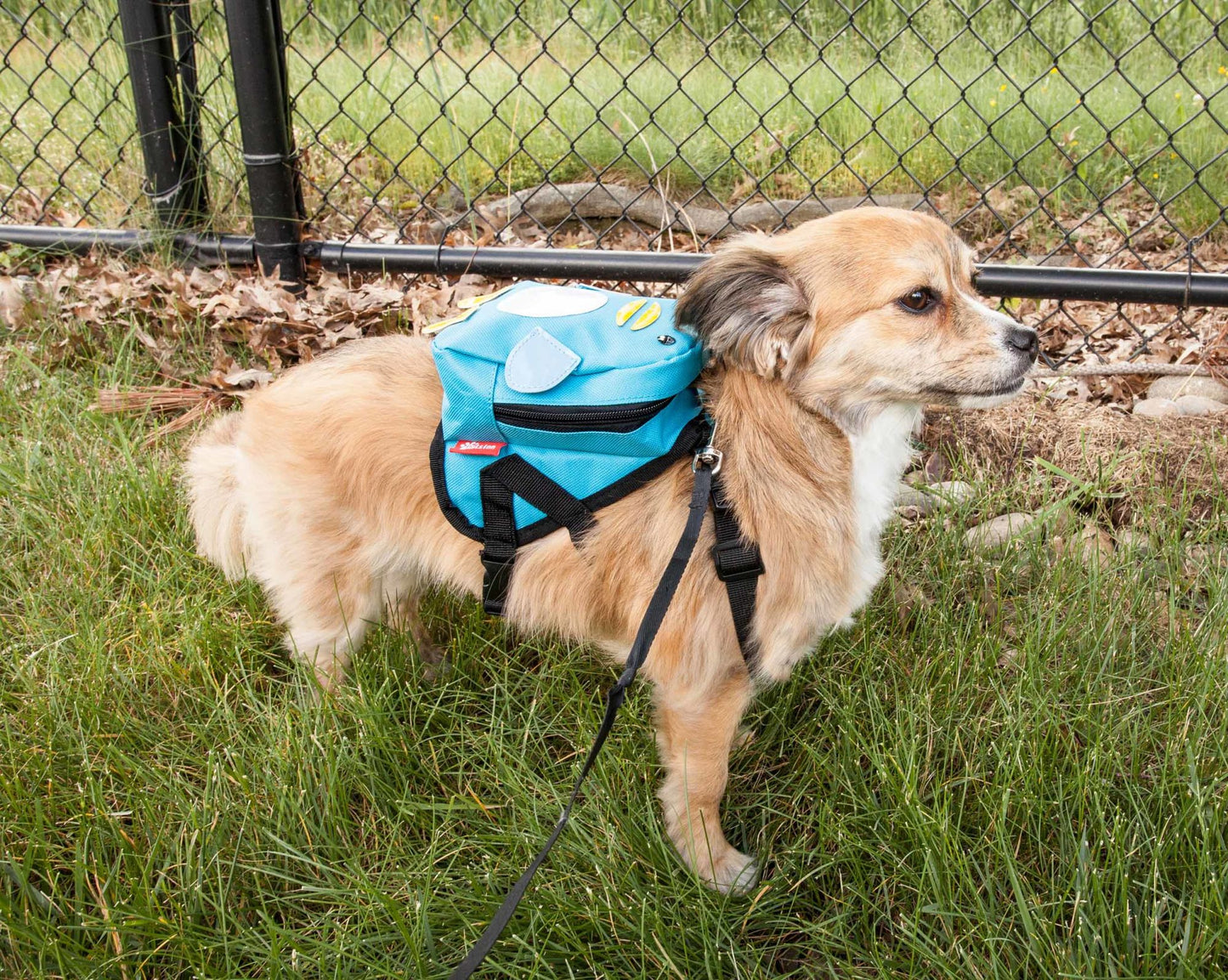 Large-Pocketed Compartmental Animated Dog Harness Backpack